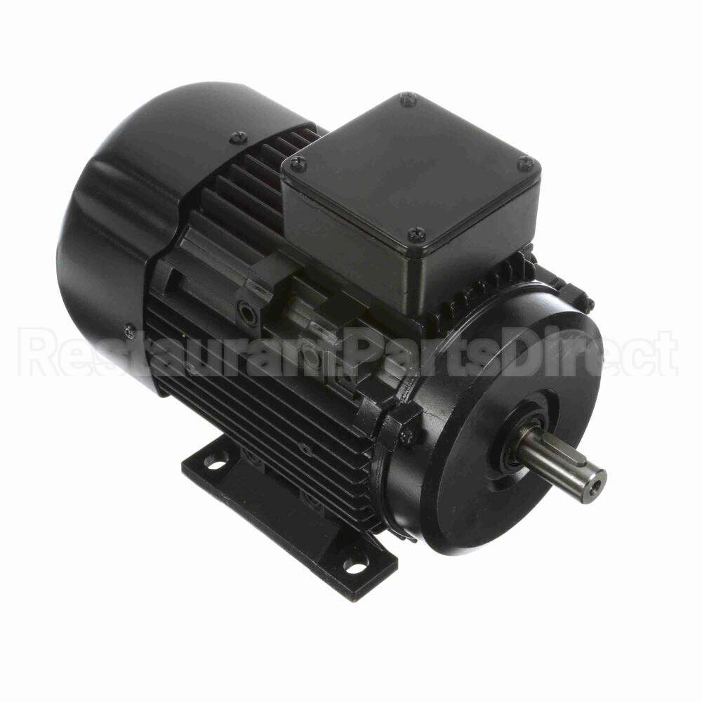 R313A Marathon Motor