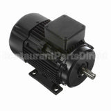 R313A Marathon Motor