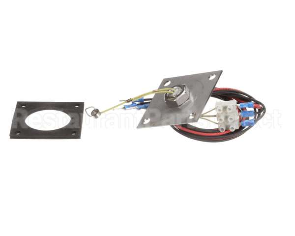 R3142 Blodgett Level Probe Assembly, Long