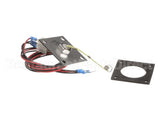 R3142 Blodgett Level Probe Assembly, Long