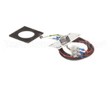 R3142 Blodgett Level Probe Assembly, Long