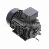 R317A Marathon Motor