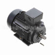 R317A Marathon Motor