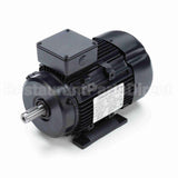 R319A Marathon Motor