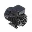 R361 Marathon Motor