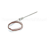 R4243 Blodgett Probe, K Thermocouple Boiler