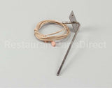 R6003 Blodgett Probe, Thermistor 100K Ohm