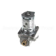 R6490 Compatible Blodgett Valve, Pilot 25Vac, 1/4C C