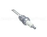 R66250 Aaon Spark Ignitor