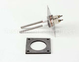 R6965 Blodgett Kit, Level Probe Assembly