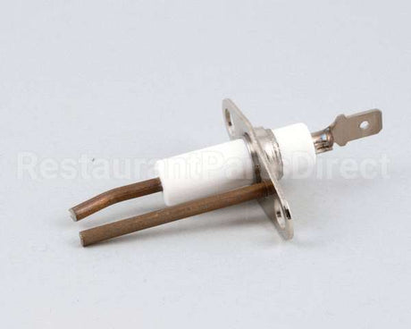 R86800 Aaon Probe Ignitor