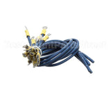 R8790 Blodgett Harness, Steam 208-480V 3Ph