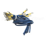 R8790 Blodgett Harness, Steam 208-480V 3Ph