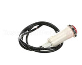RD100-09A Rankin Delux Burner Ignition Indicator Ligh