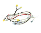 RD85SAE-19 Rankin Delux Wire Harness (1 Per Burner)