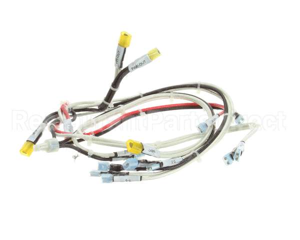 RD85SAE-19 Rankin Delux Wire Harness (1 Per Burner)