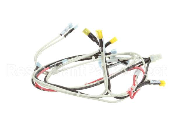 RD85SAE-19 Rankin Delux Wire Harness (1 Per Burner)