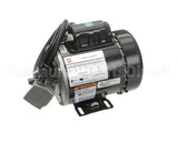 RE816653 Picard Ovens 230V Motor With Plug Re48Re816