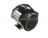 RE816653 Picard Ovens 230V Motor With Plug Re48Re816