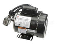 RE824653 Picard Ovens 230V Motor With Plug Re-4-12/Re-8-24