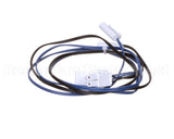 RF SEN1703 Randell Sensor, R-Series All Frz Except R1Dt Mod