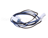 RF SEN1703 Randell Sensor, R-Series All Frz Except R1Dt Mod