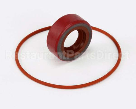 RK0004 Bki Repair Kit, Haight Pump