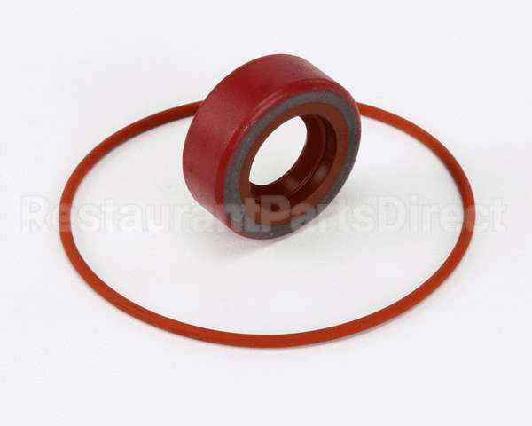 RK0004 Bki Repair Kit, Haight Pump