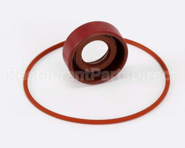 RK0004 Bki Repair Kit, Haight Pump