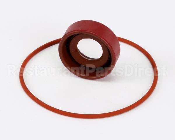 RK0004 Bki Repair Kit, Haight Pump