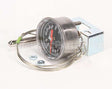RPC13-109 Intermetro Thermometer