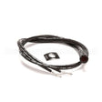 RPC13-245 Compatible Intermetro 250 Volt 16 Lead Red Indicator