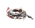 RPC13-442 Intermetro Dual Cav Wiring Harness Digit