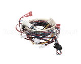 RPC13-442 Intermetro Dual Cav Wiring Harness Digit