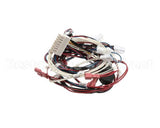 RPC13-442 Intermetro Dual Cav Wiring Harness Digit