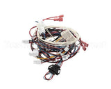RPC13-442 Intermetro Dual Cav Wiring Harness Digit