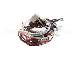 RPC13-442 Intermetro Dual Cav Wiring Harness Digit