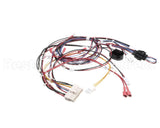 RPC13-560 Intermetro Harness