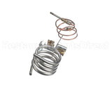 RZ110859 Reznor Pilot Asy Kit 125-400