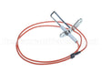 RZ270441 Reznor Ignitor Assembly With Lead