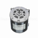 S003 Marathon Motor