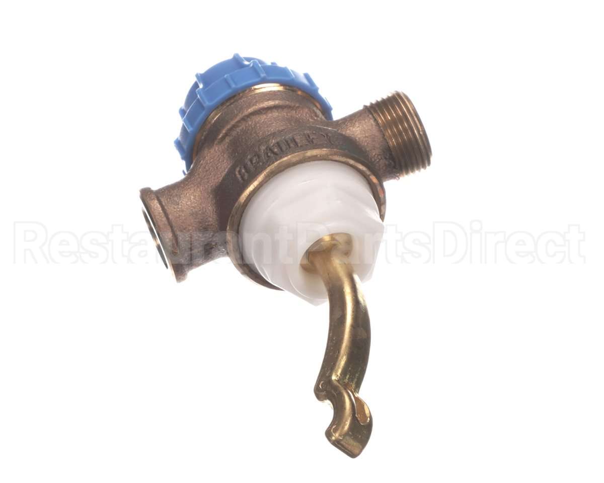 S07-066 Bradley Corporation Foot Valve Assembly