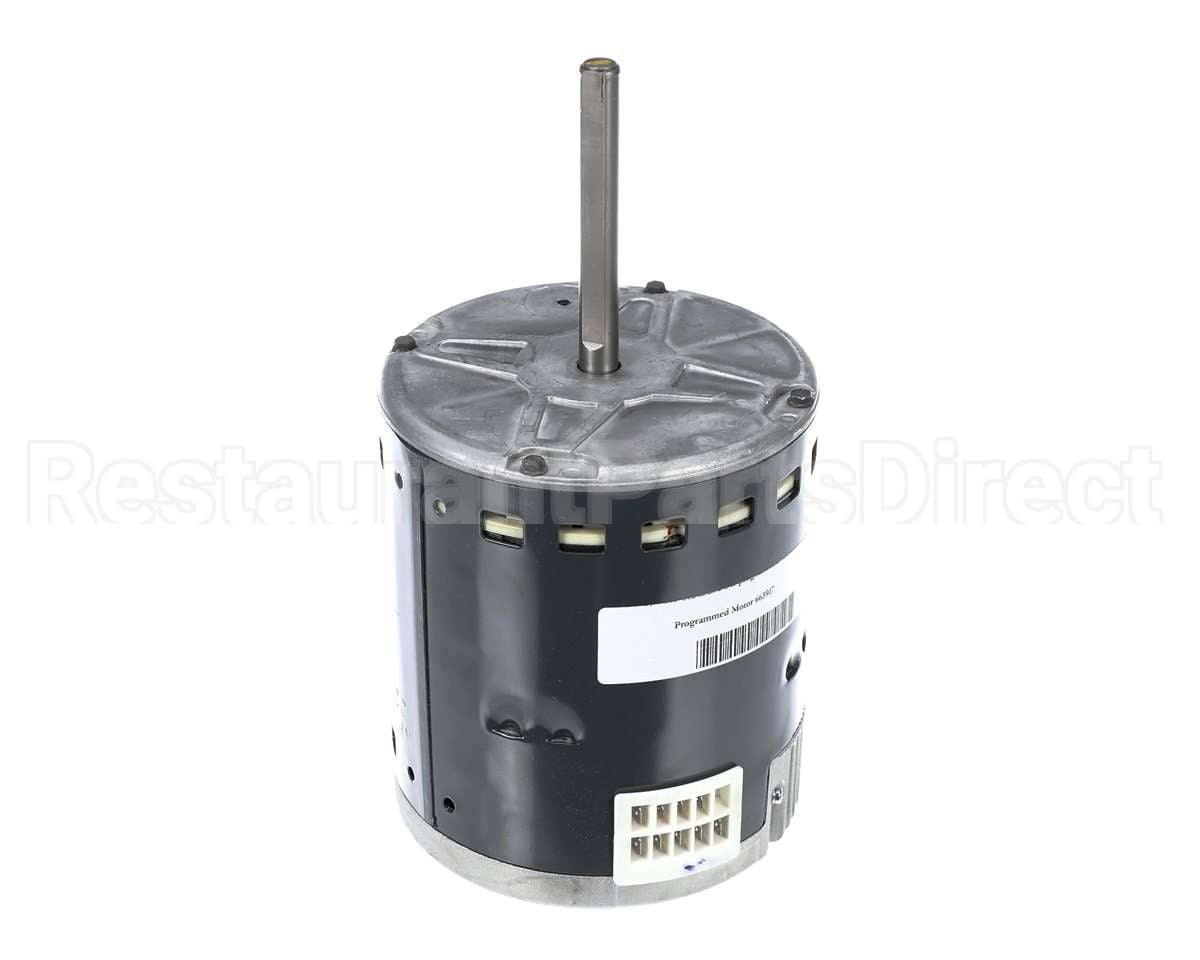 S1-02436016000 York Mtr,Blw,Prgrm,3/4,230V,Std Ecm,Regal