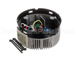 S1-02436079000 York Module,Cntrl,Unprgrm,1/2,Ecm,Regal