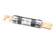 S1-02516371000 York Fuse 100A 250V