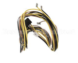 S1-02526387017 York Harness W/Plug,Cond Mtr 138 Inch