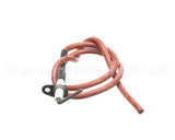 S1-02529010000 York Spark Ignitor