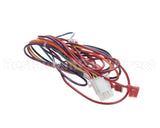 S1-02531810001 York Wire Harness,Gas Valve To Control Board
