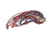 S1-02531810001 York Wire Harness,Gas Valve To Control Board
