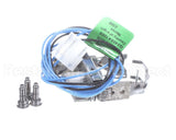 S1-02532780000 York Pilot Ignitor Assembly